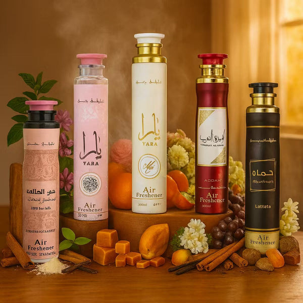 Lot de 5 Air Freshener 300ML